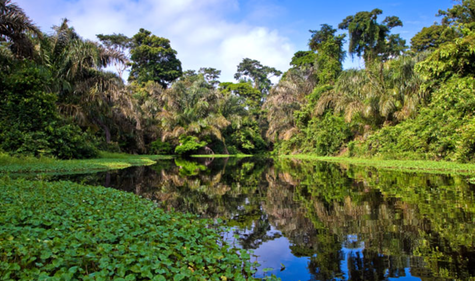Soberanía National Park, Near Panama City, Panama